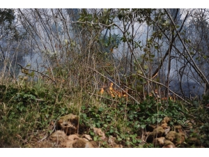 Giresun’da 4 Noktada Örtü Yangınları Devam Ediyor