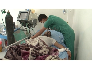 Yemen’de Domuz Gribinden 8 Kişi Öldü