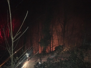 Çatalpınar’da Orman Yangını