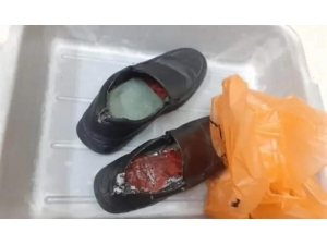 Ürdün’de Ayakkabılara Gizlenmiş 8 Nadir Kuş Bulundu