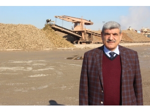 Malatya Şeker Fabrikasında 345 Bin Ton Pancar İşlendi