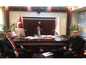 Süs Bitkileri Ve Fidancılık Sektörünün İhracatı İçin Yol Haritası Belirlendi