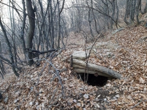 Bitlis’te “Kıran-8 Örenlik Ve Kısıklı” Operasyonları