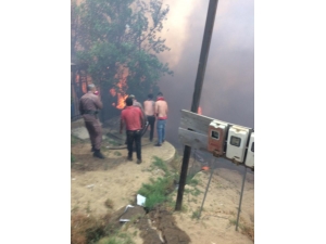 Şili’deki Yangınlarda 120 Ev Yandı