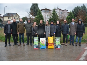 İzmit’te Sokak Hayvanları İçin Anlamlı Çalışma