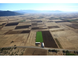 Bir Yıl İçinde İki İlde 34 Bin 444 Dekar Arazi Toplulaştırıldı