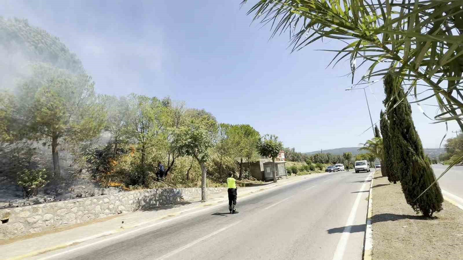 yol-kenarinda-baslayan-yangin-ormana-sicradi-ekiplerin-mudahalesiyle-sonduruldu
