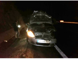 Yola Fırlayan Domuza Çarpan Otomobil Kullanılamaz Hale Geldi