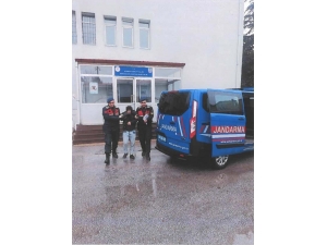 Cezaevi Firarileri Yakalandı