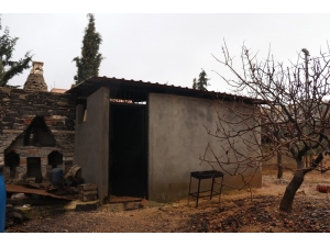 Elbay Cinayetinde Zeynep Ergül De Tutuklandı