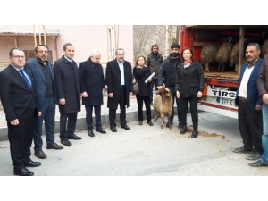 Milletvekili Arvas, “Küçükbaş Hayvancılık Van İçin Büyük Bir Sektördür”