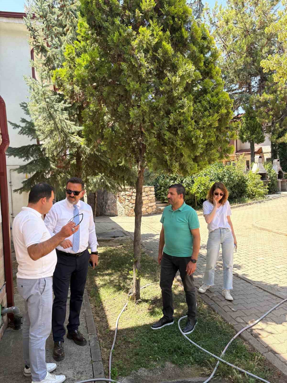 bilecik-ces-te-inceleme