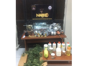 Köy Evinde 40 Kök Kenevir Ele Geçirildi, Şüpheli Şahıs Tutuklandı