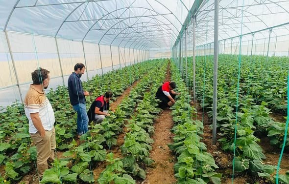 cizre-de-ciftcilere-sera-denetimi-ve-egitimi