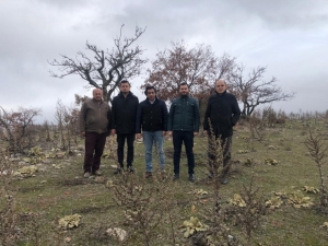 Bakan Pekcan Müjdeyi Vermişti, 34 Firma Başvuru Yaptı