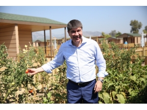 Eski Başkan Türel’den Kar Maskeli Şüpheli İhbarı