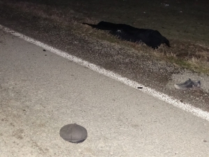 Otomobilin Çarptığı Yaya Hayatını Kaybetti