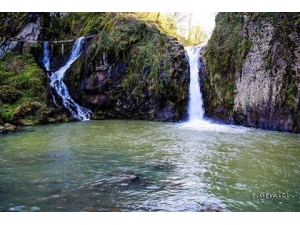 Ordu’nun Dereleri Boşa Akmayacak