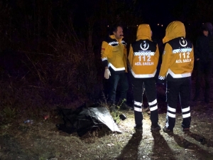 Köpeğe Çarpınca Aracından İndi, Başka Bir Aracın Çarpması Sonucu Öldü