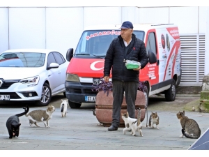 Onu Gören Kedi Ve Köpekler Esas Duruşa Geçiyor