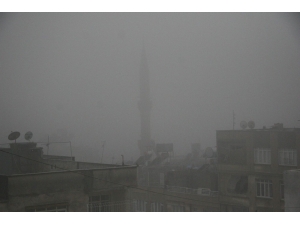 Kilis’te Yoğun Sis Etkili Oldu