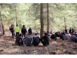 Mantar Toplamaya Gitmişti, Ölü Bulundu