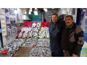 2019 Yılı Balıkçıların Yüzünü Güldürmedi