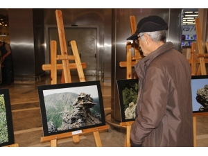 Bu Fotoğraflara Bakan Bir Daha Baktı