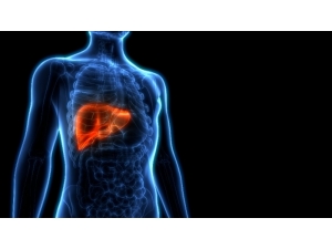 2020’ye Sağlıklı Karaciğerle Girmenin 10 Altın Kuralı