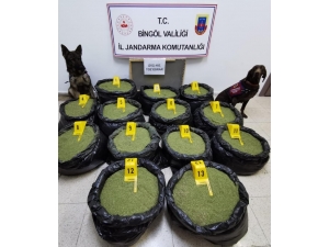 Bingöl’de Jandarma, 202 Kilo Toz Esrar Ele Geçirildi