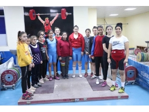 Okullar Arası Yıldız-genç Halter İl Birinciliği Tamamlandı