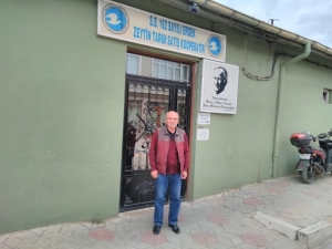 Zeytin Alımları 6 Ocağa Kadar Uzatıldı