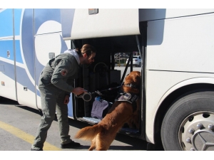 Kuşadası’nda Yılbaşı Önlemleri