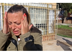 Beslediği Kediyi O Halde Görünce Gözyaşlarına Boğuldu