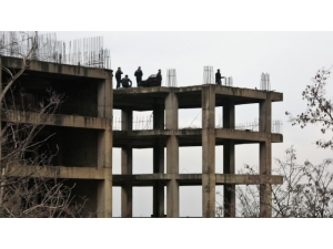 Yılbaşı Sabahı Görenler Şok Oldu