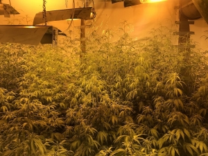 Uyuşturucu Villalarına Baskın