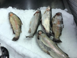 Olumsuz Hava Tezgahlara Yansıdı