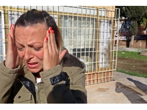 Yürekleri Sızlatan Görüntü İçin İçin Özel Ekip Kuruldu