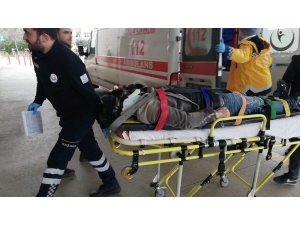 Minibüs İle Hafif Ticari Araç Çarpıştı: 1 Yaralı