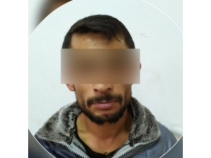 Mahalleliyi Telefonsuz Ve İnternetsiz Bırakan Kablo Faresini Jasat Yakaladı