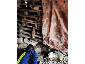 Tahta Paletlerin Altında Sıkışan Köpek İtfaiye Tarafından Kurtarıldı