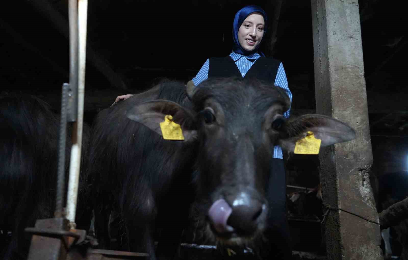 bayburt-un-mandali-kizi-koyunun-simgesi-oldu