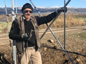 Şehir Merkezinde Sera Sayısı Artıyor