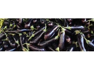 Aralık Ayında En Çok Patlıcanın Fiyatı Arttı