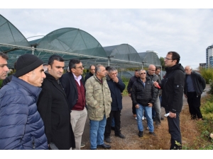 Mersin’de Tarımsal Eğitim Programı Düzenlendi