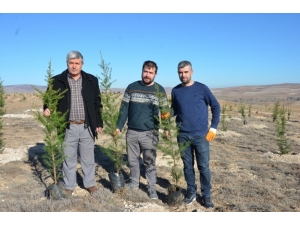 Emekli Maaşıyla 200 Bine Yakın Fidanı Toprakla Buluşturdu