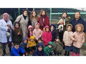 Minikler Hem Hayvanları Tanıma Hem De Sevme Fırsatı Buldu