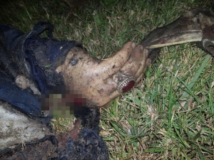 Kasım Süleymani’nin Cesedi Yüzüğünden Teşhis Edildi