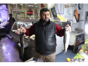 Balıkta Kdv’nin Düşmesinden Esnaf Da Vatandaş Da Memnun