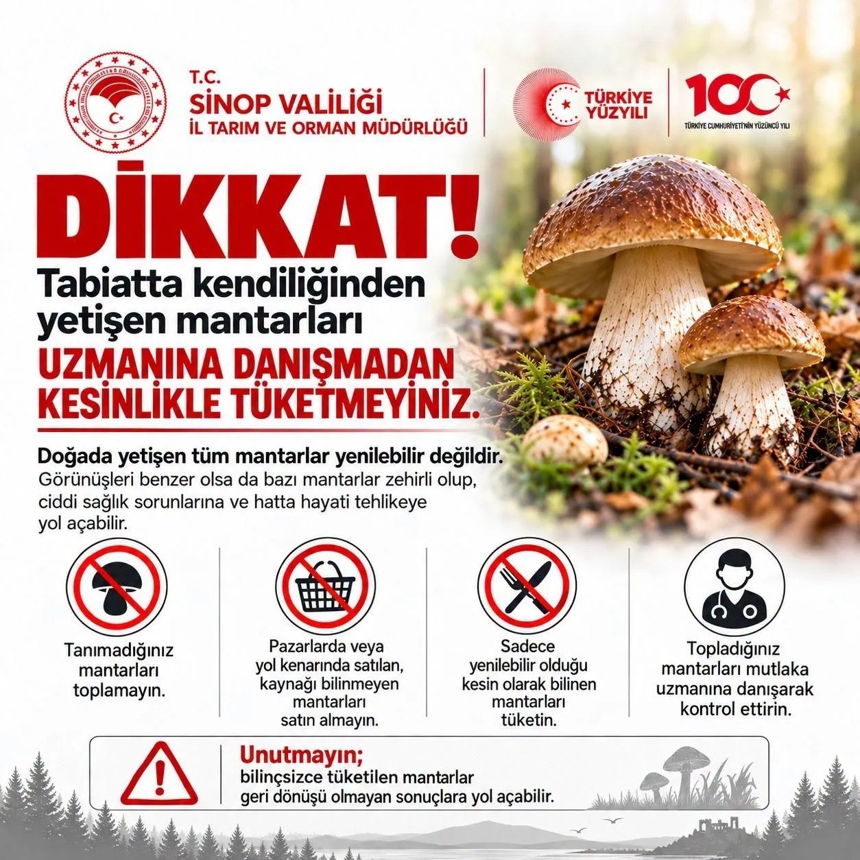 sinop-ta-mantar-toplayicilarina-uyari